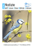 Notizie - centrocristiano.it