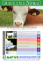 Newsletter BOVINI NEWS DI MARZO 2013