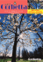 Numero 04, maggio 2014 (pdf - 4115,38 Kb)