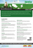 Brochure PDF