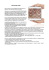 Lip Bumper_1 - Straightwire