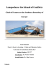 Lampedusa: the Island of Conflicts - UvA-DARE