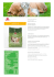 PRIMIA ZUPPA COMPLETA PER CANI CARNI E VERDURE 4 kg