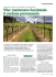 08_Castaldi_Articolo2