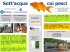 Sott`acqua coi pesci