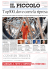 Allegato a Il Piccolo del 05.02.2015