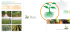 brochure - Agriges