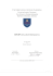 IDS-IPS Analisi Comparativa - UniCam