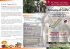 brochure - Istituto Comprensivo Regina Elena