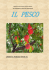 Fantoni Francisco