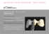 Manuale Creapast - Creation Willi Geller