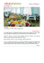 Hotel Rex - Hotel a Misano Adriatico