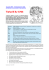 Feste ebraiche: Tisha B`Av 5765