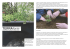 Scaricare la documentazione in formato PDF (IT)