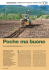 Poche ma buone - Il Verde Editoriale