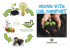 Compost Bioenergia
