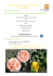 Domenica 11 Maggio 2014 Ore 13.00 PRANZO con