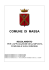 comune di massa regolamento