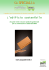 Speciale - AcquistiVerdi.it
