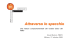 Attraverso lo specchio - PMI-NIC