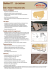Scarica la brochure