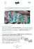 Scarica il documento completo