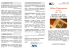 scarica pdf