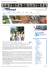SportEconomy.it - The Color Run: il 5 ottobre a Roma