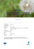 Policy Brief #2