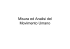 Misura ed Analisi del Movimento Umano