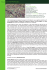 press release - villa contemporanea