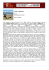 Level 1: Beginner 2012 Thunderthumb Music Salvo Coppola