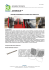 apri il pdf