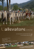 n° 5 SET - OTT - Federazione Provinciale Allevatori