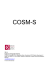 Questionario COSM-S, Routine MINISTEP per il computo