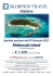 Makunudu Island in Deluxe Bungalow