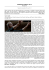 Steve Jobs - Cinema Teatro San Giuseppe Brugherio