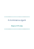 Report finale e-commerce agent