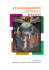 programmazione Pastorale 2014-2015