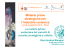 Materie prime strategiche per l`industria ceramica