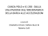 canoa-polo-11 - laltrametodologia.com