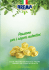 Catalogo Bio - Pasta Brema
