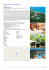 Barcelo Bavaro Palace Deluxe 5* (Punta Cana)