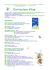 Scarica il Curriculum in formato PDF