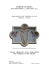 to get the file - Comune di Signa