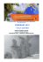 febbraio 2010 - Meteonetwork