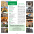 brochure verde_web - Fondazione Federico Secondo