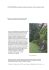 Informazioni - Garden Club Ravenna