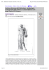 Antinoo Hermes del Belvedere: simbologia antiquariale del