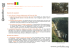 Guinea OW - Operation World Italia